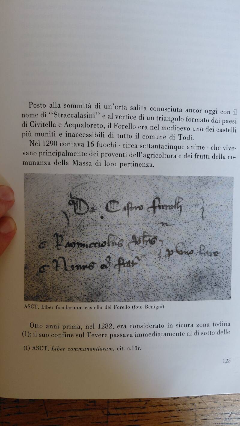 Stampa di manoscritto del Liber Focularium del Castello del Forello
