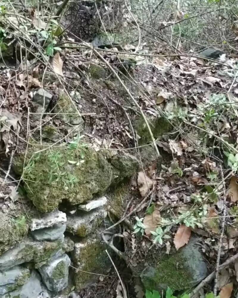 Angolo in doppio paramento medievale in giacitura primaria nel sistema di pievi Vallocchi presso Alfina