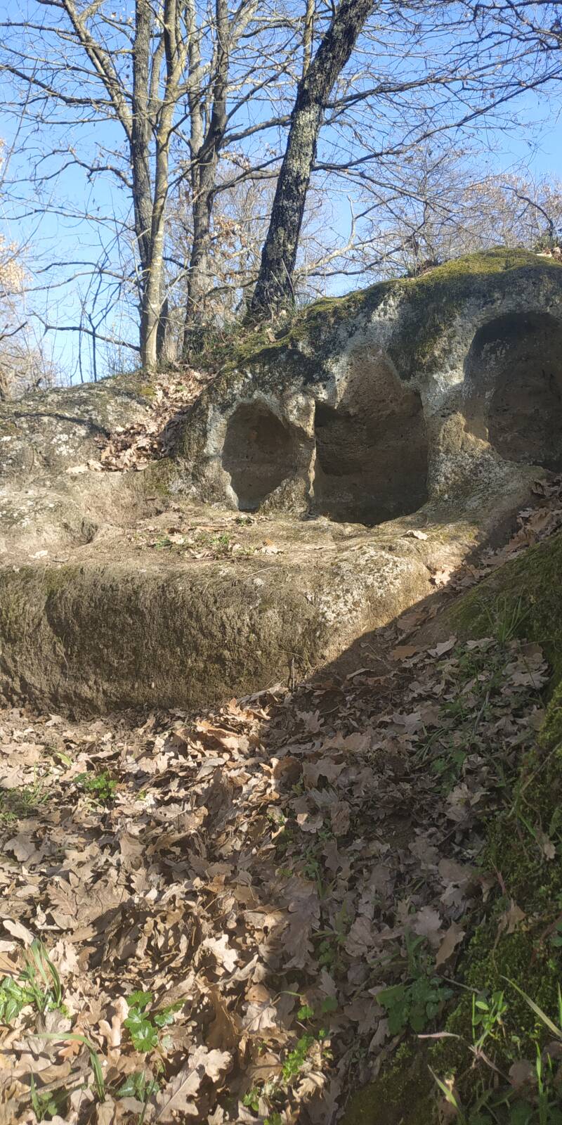 MONUMENTO FUNERARIO RUPESTRE. SITO WEB "IL CIGLIO DI SCAVO-Dallo Strato Zero in Poi" A CURA DI ILARIA PETTINELLI