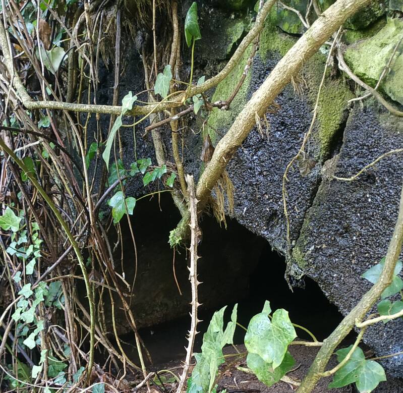 MULINO AD ACQUA- CONDUTTURA IDRAULICA VOLTATA A BOTTE. "IL CIGLIO DI SCAVO-Dallo Strato Zero in Poi" SITO WEB A CURA DI ILARIA PETTINELLI