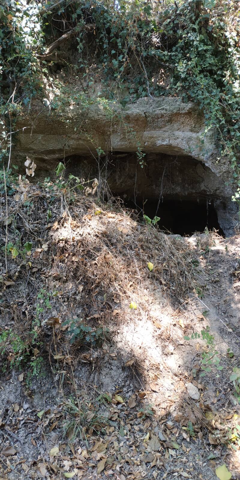 GROTTA CON DUE NICCHIE E PILASTRO CENTRALE: IMMAGINE DELL'IMBOCCATURA DELLA GROTTA. SITO WEB IL CIGLIO DI SCAVO-Dallo Strato Zero in Poi A CURA DI ILARIA PETTINELLI