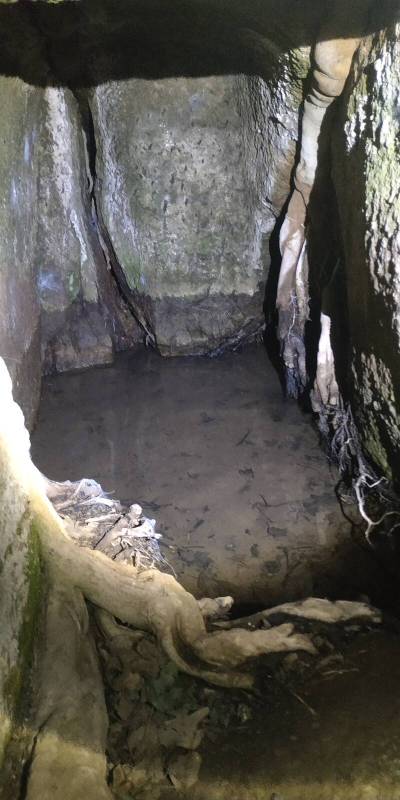 PIANSANO BOTTINO IDRICO. "IL CIGLIO DI SCAVO-Dallo Strato Zero in Poi" SITO WEB A CURA DI ILARIA PETTINELLI