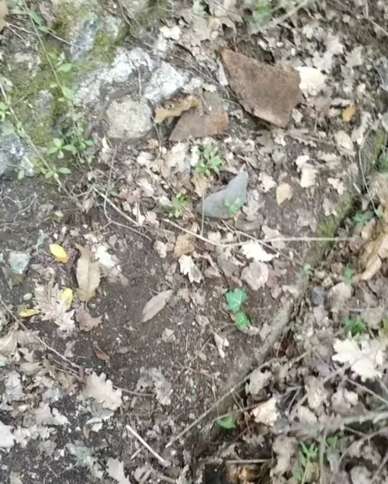 Scavo archeologico di struttura muraria ecclesiastica medievale con tracce di tegole e profilo di fondazione presso pievi di Vallocchi a Benano