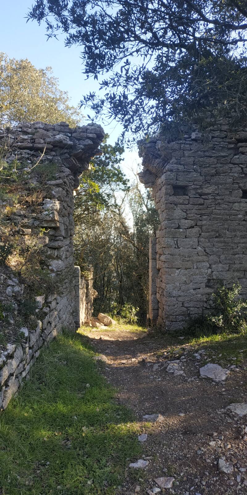 ROCCACCIA DI TITIGNANO INGRESSO INTERNO. SITO WEB "IL CIGLIO DI SCAVO-Dallo Strato Zero in Poi A CURA DI ILARIA PETTINELLI