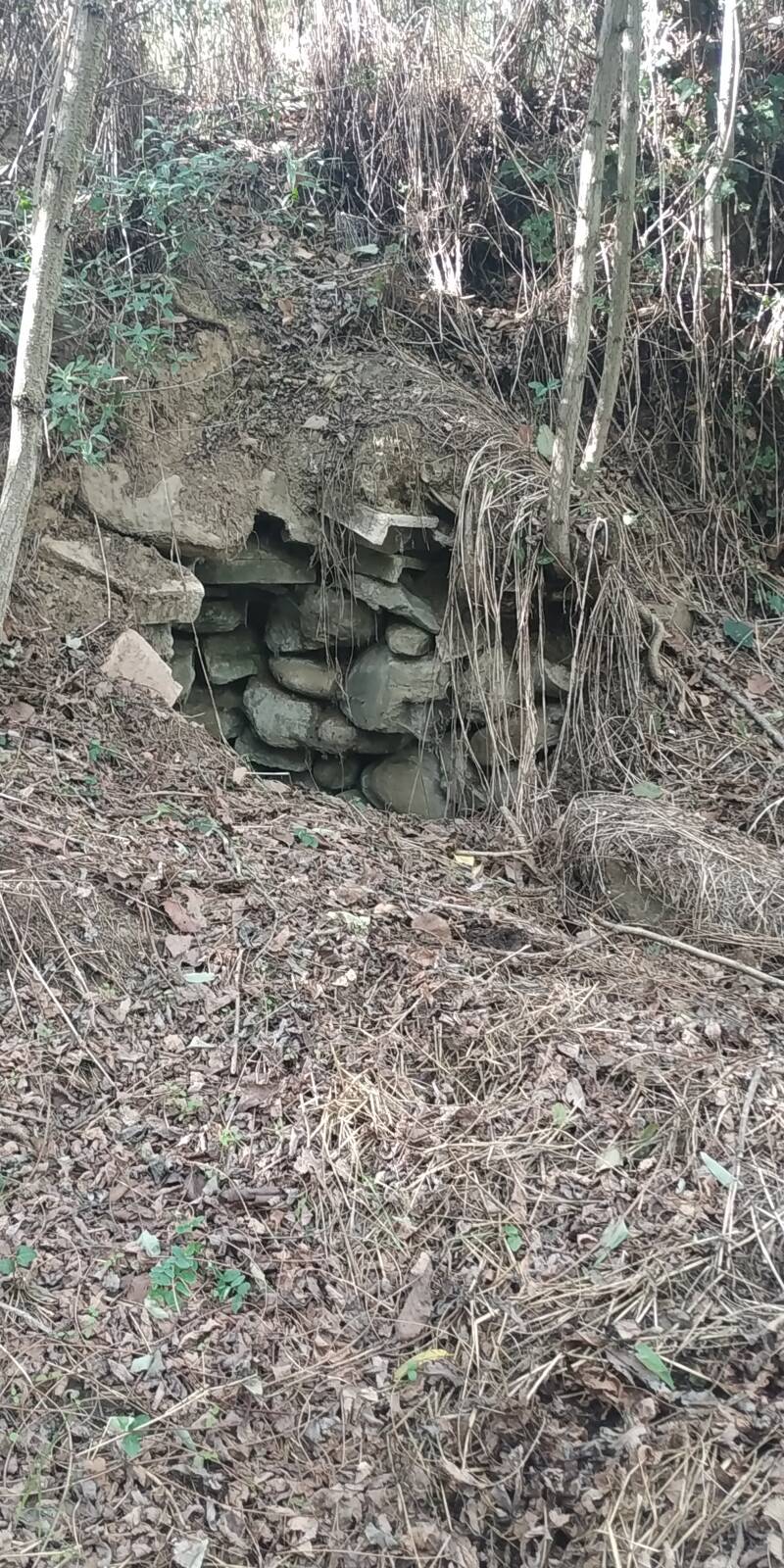 PIETRE A SECCO ARCHITETTURA RUPESTRE. SITO WEB "IL CIGLIO DI SCAVO-Dallo Strato Zero in Poi" SITO WEB A CURA DI ILARIA PETTINELLI