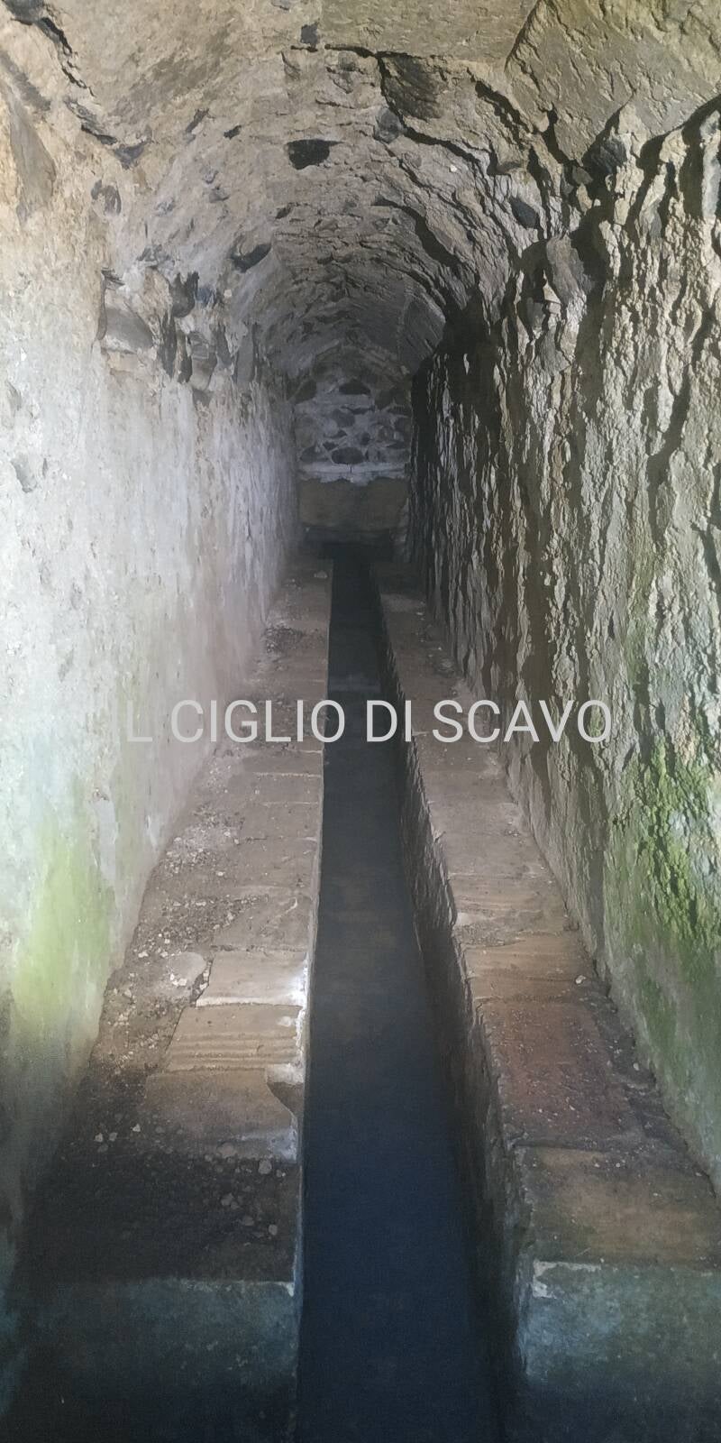 CONDUTTURA SORGENTE PERENNE. "IL CIGLIO DI SCAVO-Dallo Strato Zero in Poi" SITO WEB A CURA DI ILARIA PETTINELLI