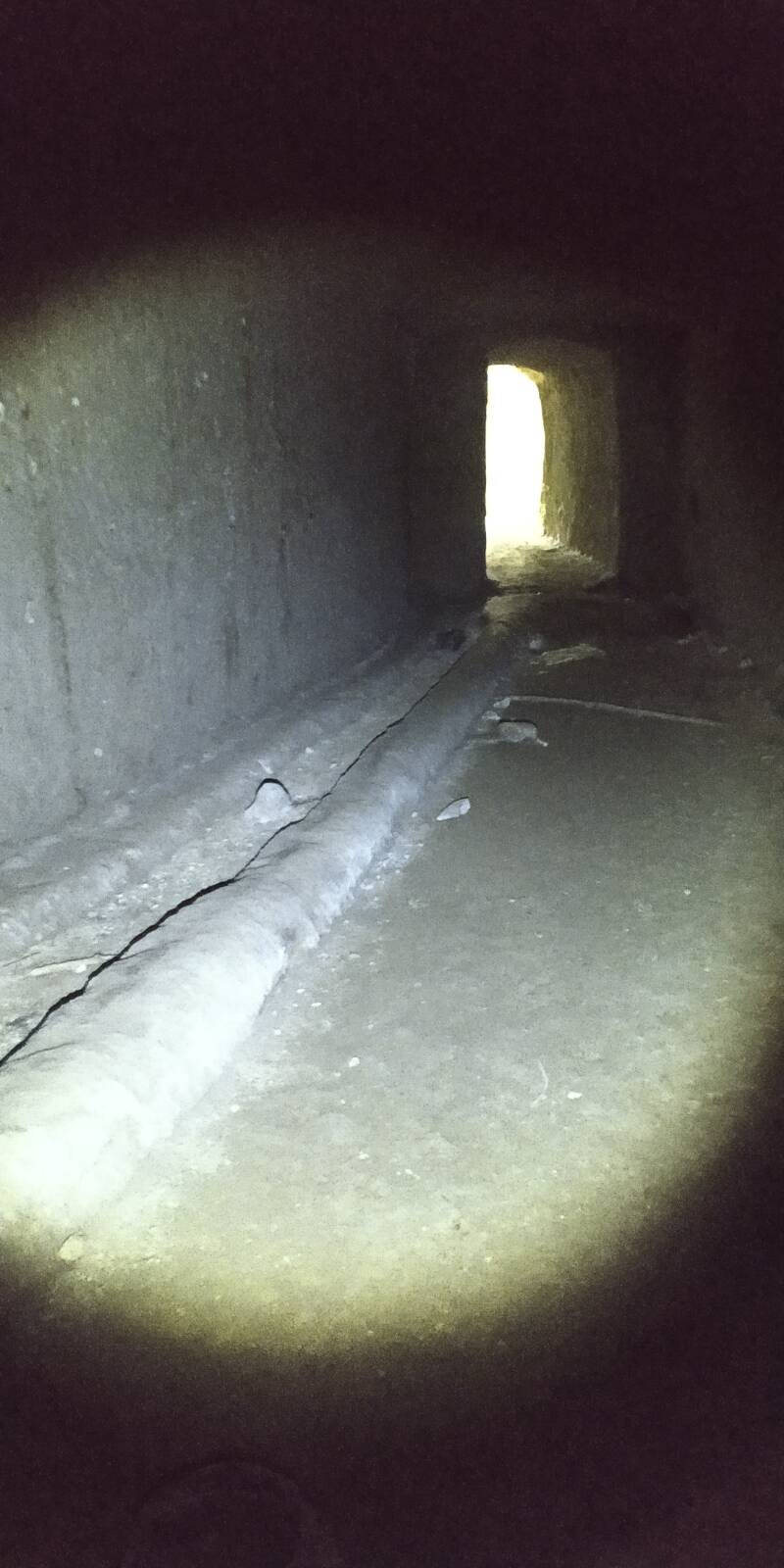 TOMBE RUPESTRI CON NICCHIE AD ARCOSOLIO. "IL CIGLIO DI SCAVO-Dallo Strato Zero in Poi" SITO WEB A CURA DI ILARIA PETTINELLI