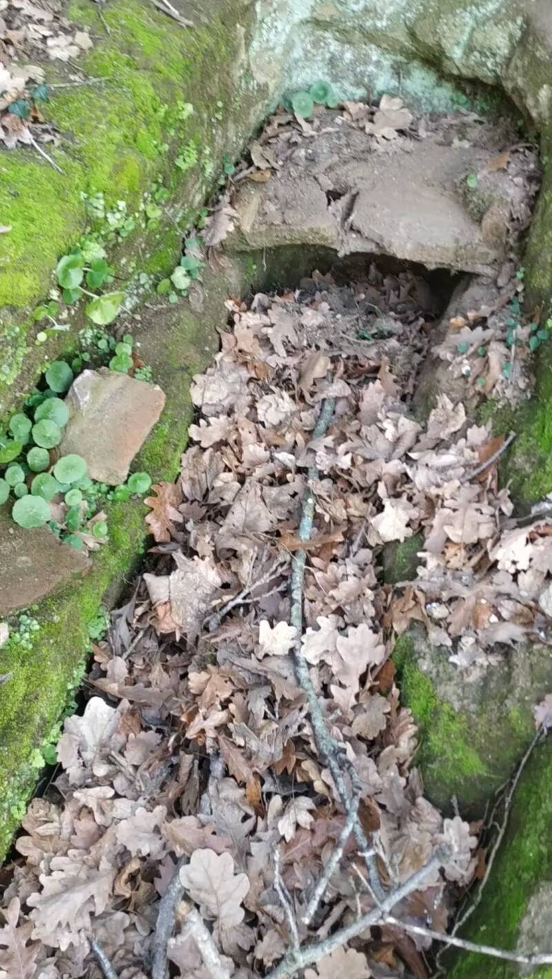 TOMBE A LOGETTE ABBANDONATE. SITO WEB "IL CIGLIO DI SCAVO-Dallo Strato Zero in Poi" A CURA DI ILARIA PETTINELLI