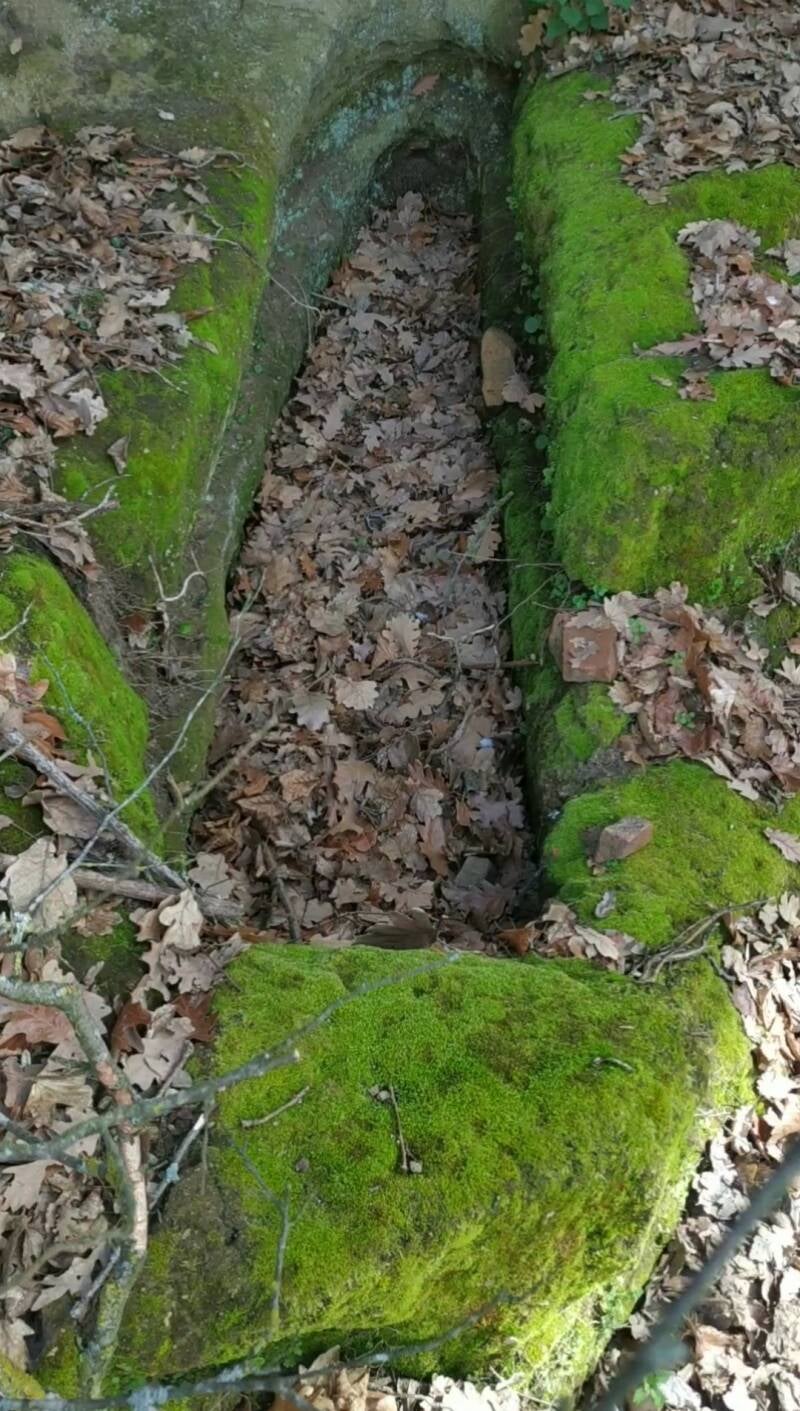 TOMBE DIMENTICATE. SITO WEB "IL CIGLIO ID SCAVO-Dallo Strato Zero in Poi" A CURA DI ILARIA PETTINELLI