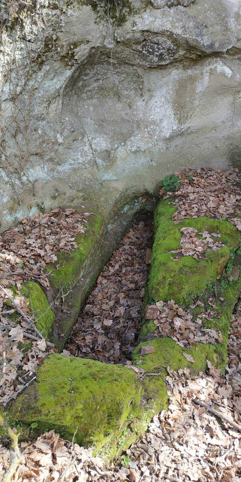 TOMBE DIMENTICATE. SITO WEB "IL CIGLIO DI SCAVO-Dallo Strato Zero in Poi" A CURA DI ILARIA PETTINELLI