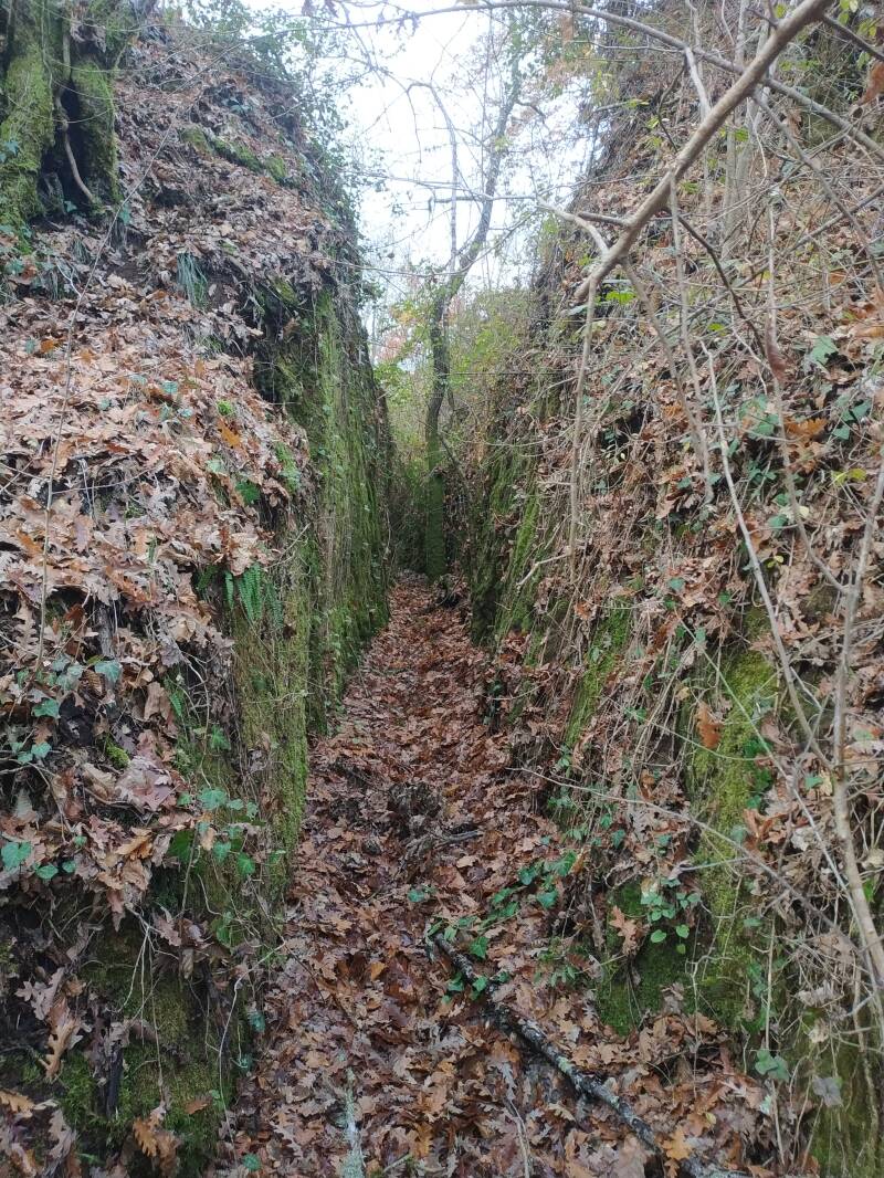 TAGLIATA ETRUSCA E TOMBE ETRUSCHE