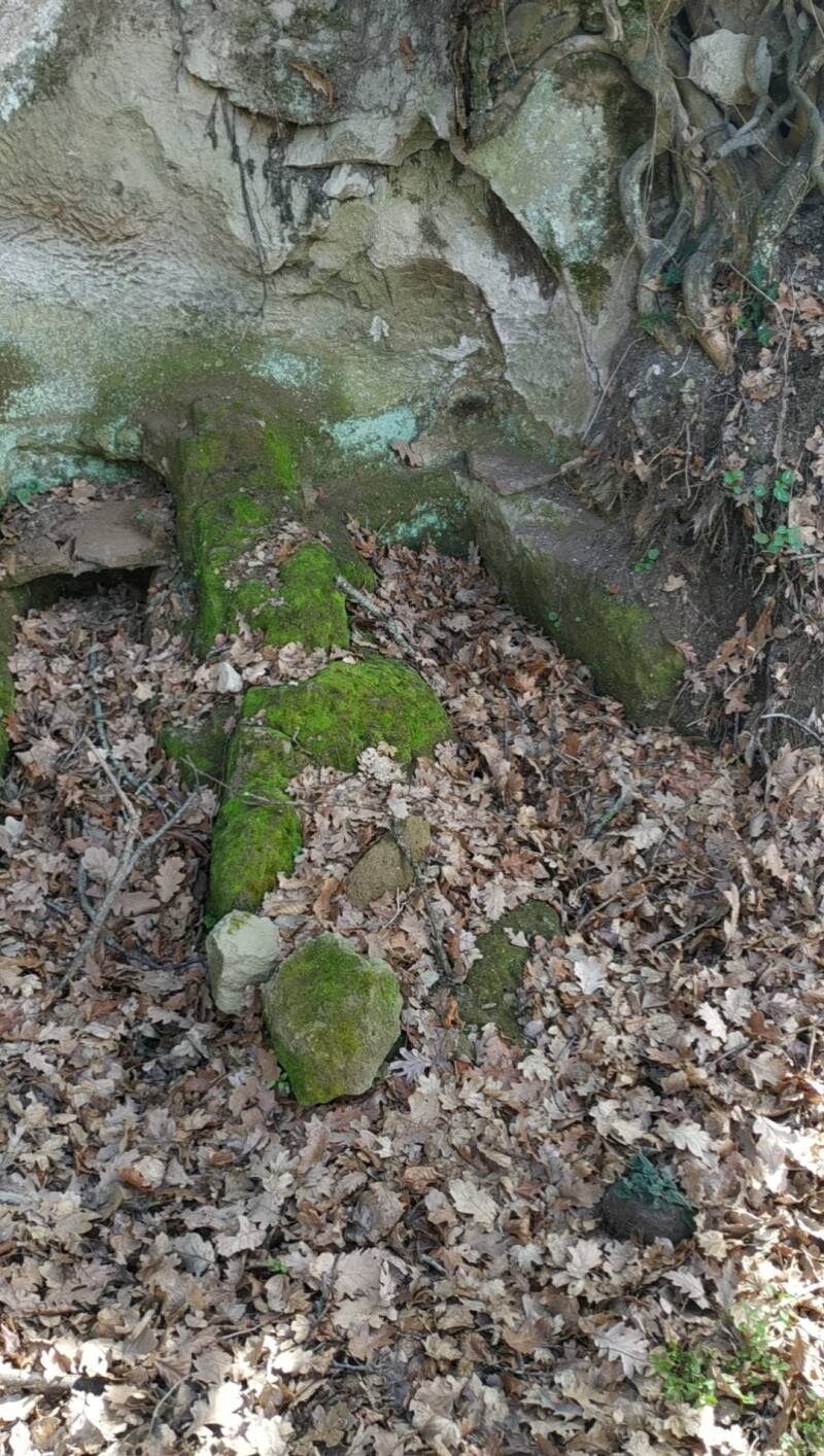 TOMBE RUPESTRI ANTROPOMORFE. SITO WEB "IL CIGLIO DI SCAVO-Dallo Strato Zero in Poi" A CURA DI ILARIA PETTINELLI