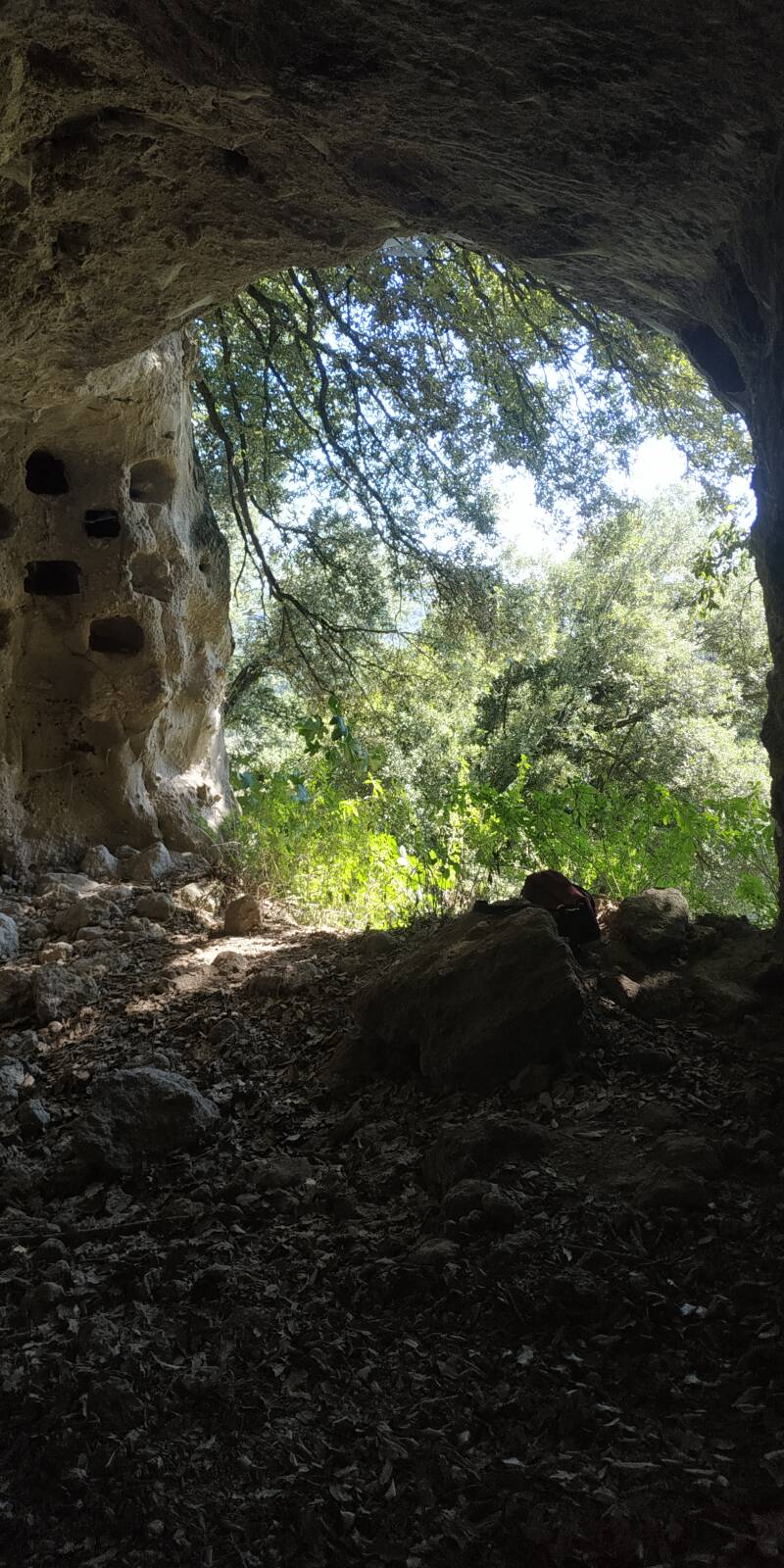 COLOMBARIO A PICCO SU RUPE DELLA TUSCIA. "IL CIGLIO DI SCAVO-Dallo Strato Zero in Poi" SITO WEB A CURA DI ILARIA PETTINELLI