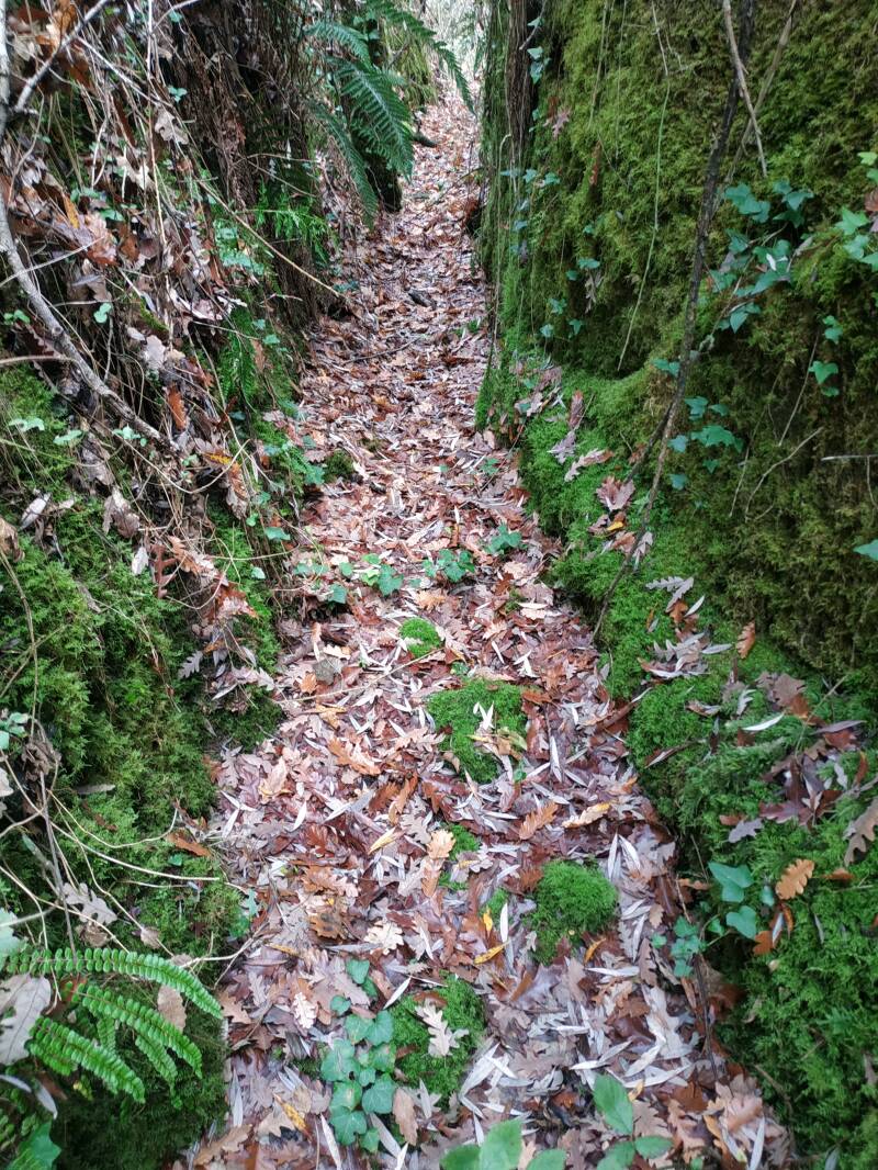 VIA CAVA ETRUSCA CON TOMBE ETRUSCHE