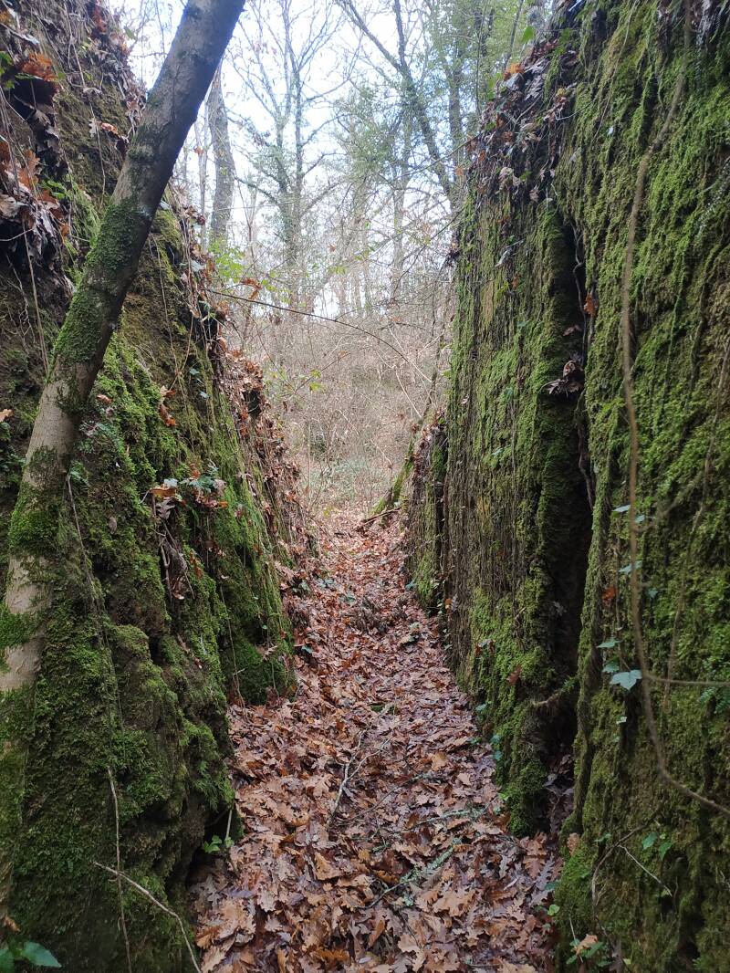 VIA CAVA -STRADA ETRUSCO ROMANA IN TUFO