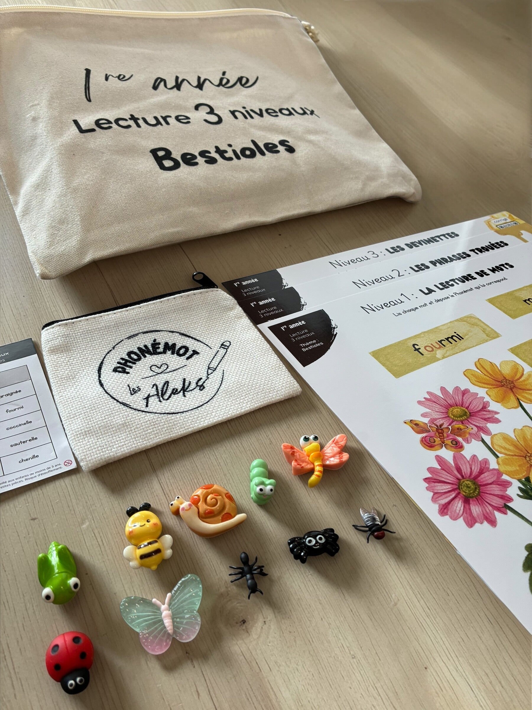 Lecture 3 niveaux : Bestioles - 1re année