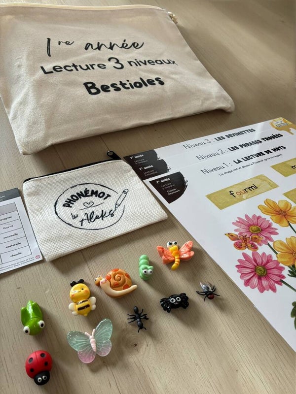 Lecture 3 niveaux : Bestioles - 1re année