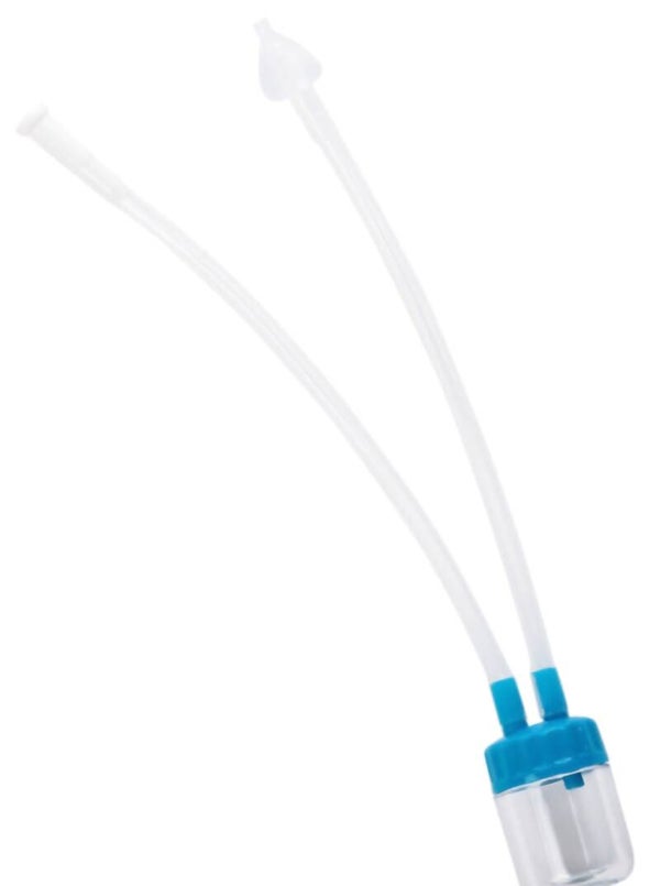 Mouche bébé