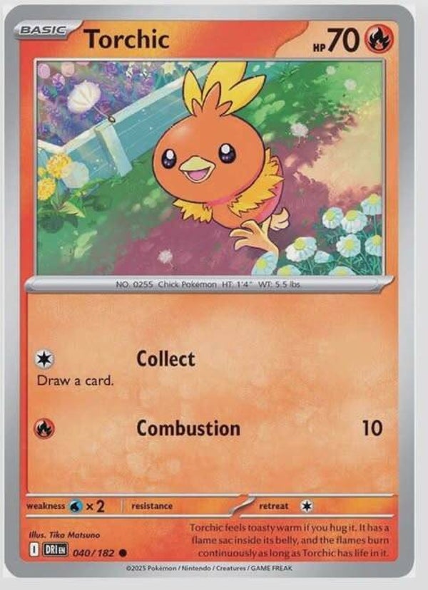 Torchic