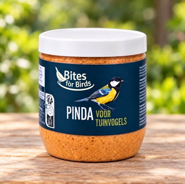Pindakaas voor vogels