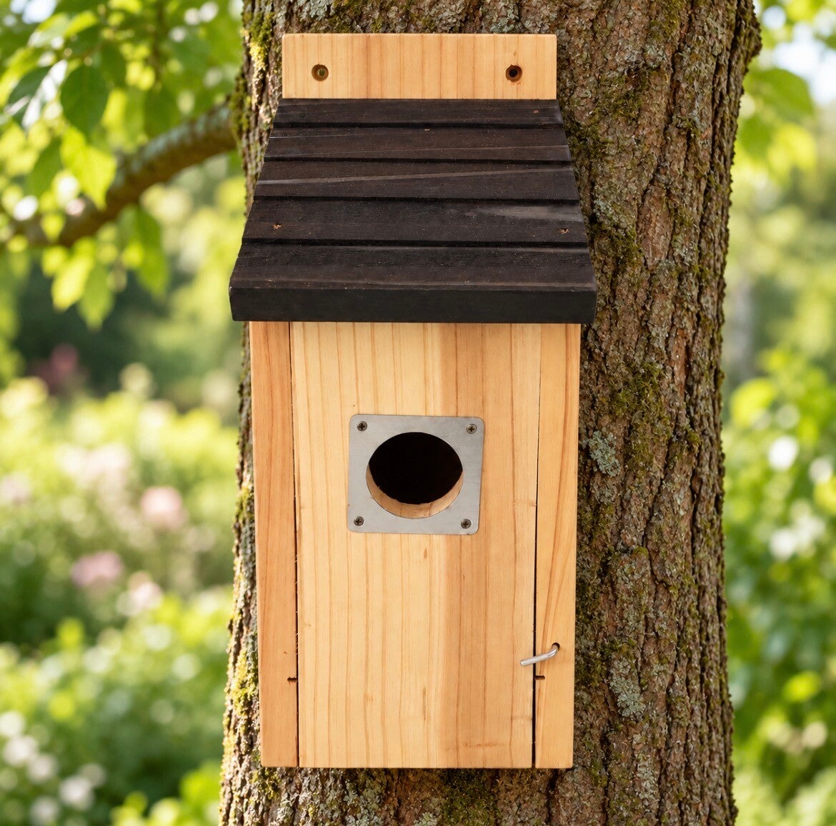 Houten nestkast met metalen bescherming – 3,8 cm