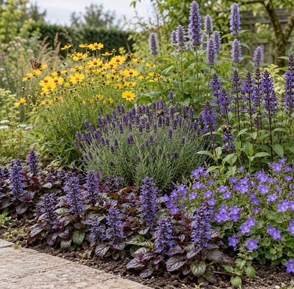 24 vaste planten voor bijen en vlinders – bloeipakket