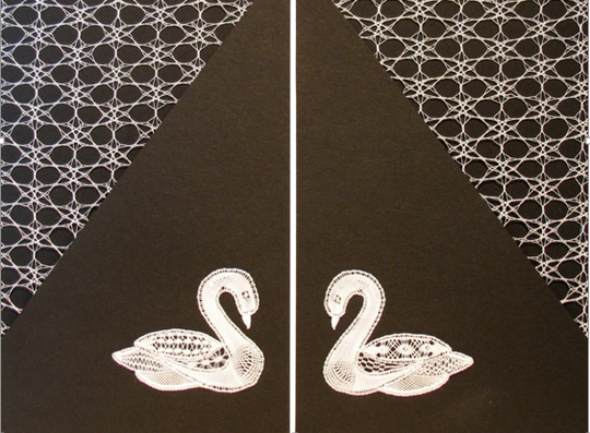 Zwanen met ondergrond