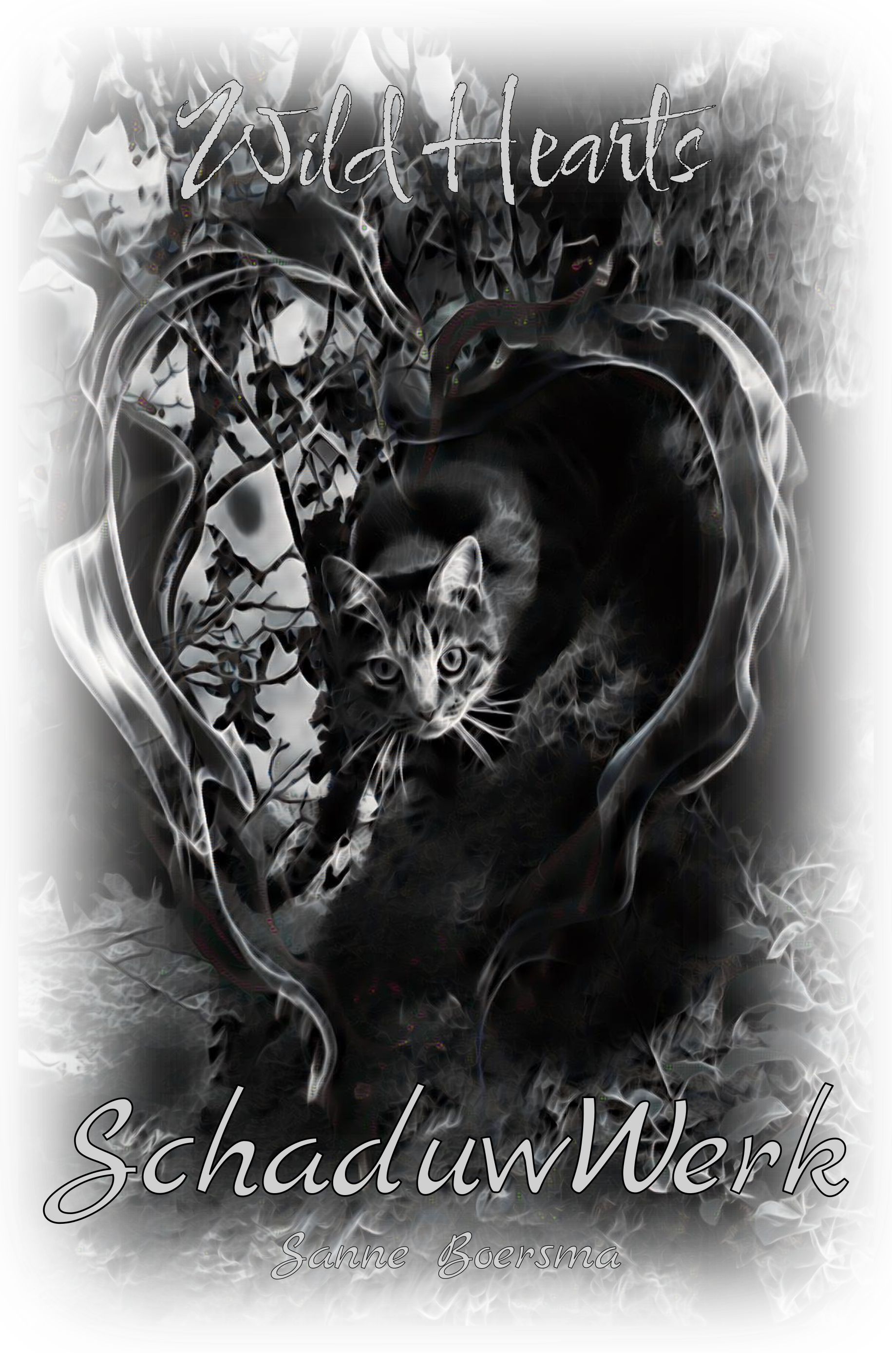 Boekcover van SchaduwWerkl