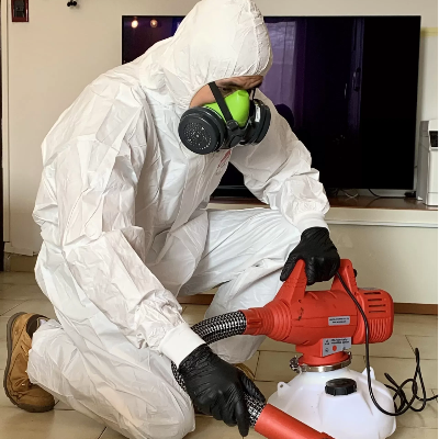 Disinfestazione topi milano - Disinfestazioni 360