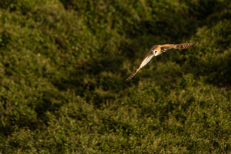 _z2a7504-edit-standard.jpg