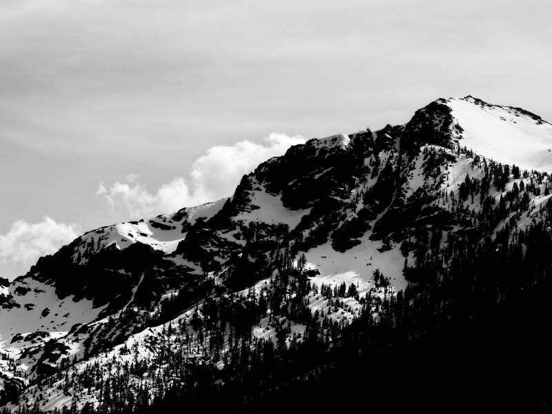 img_0292-standard.jpg