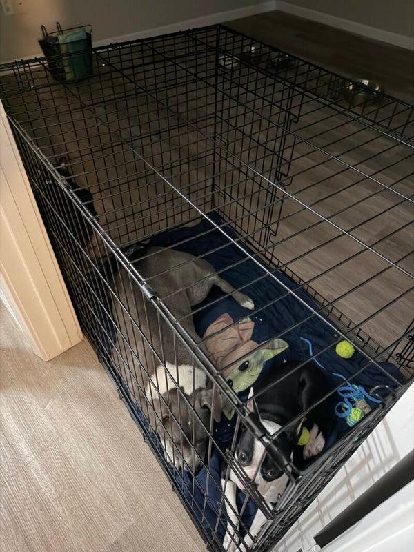 Furbabyfunds