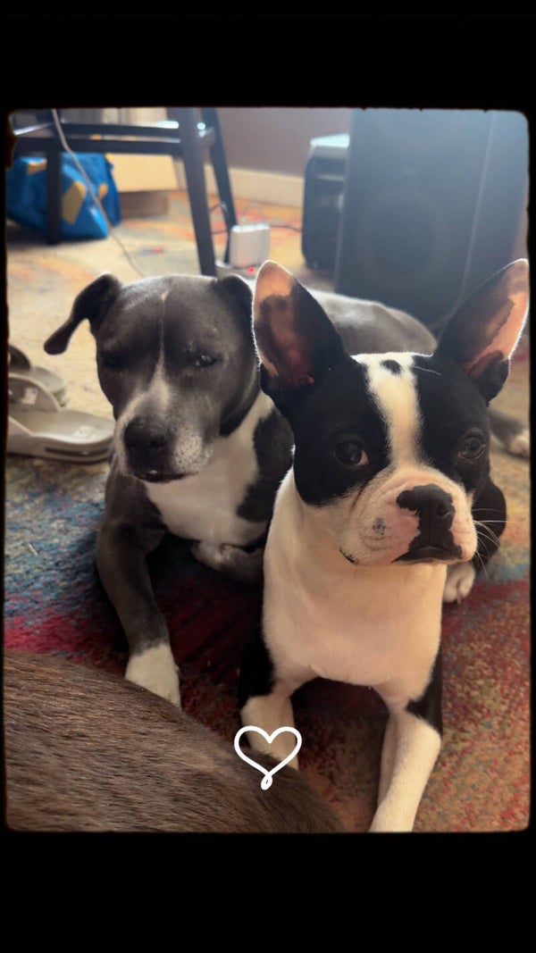Furbabyfunds