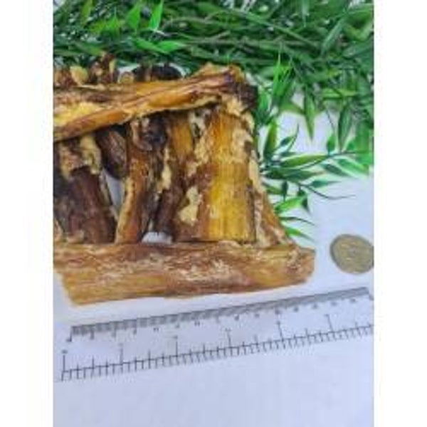 Beef Tendons Mini (10 pack)