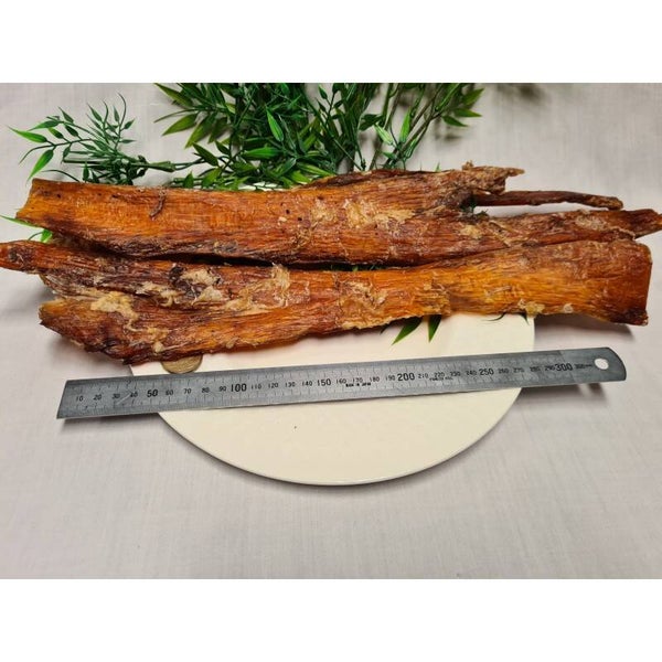 Beef Tendon Large