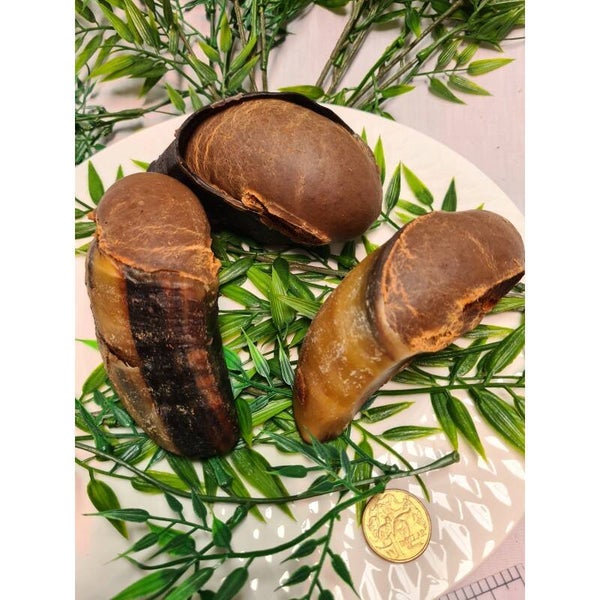 Chicken Filled Woofer Hoofer