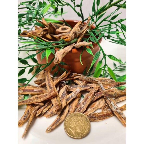 Anchovies (Little Fish)