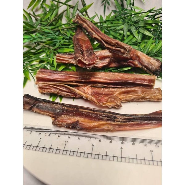 Steer Willies Junior