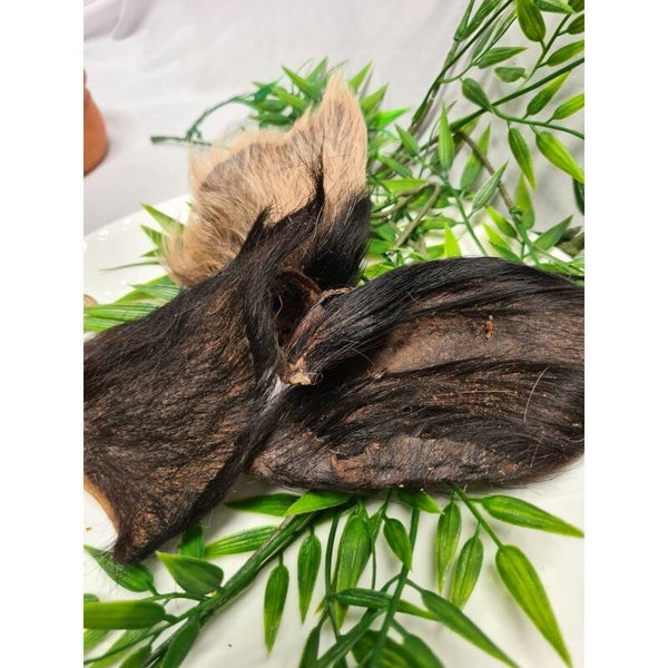 Wild Boar Ear (Hair On)