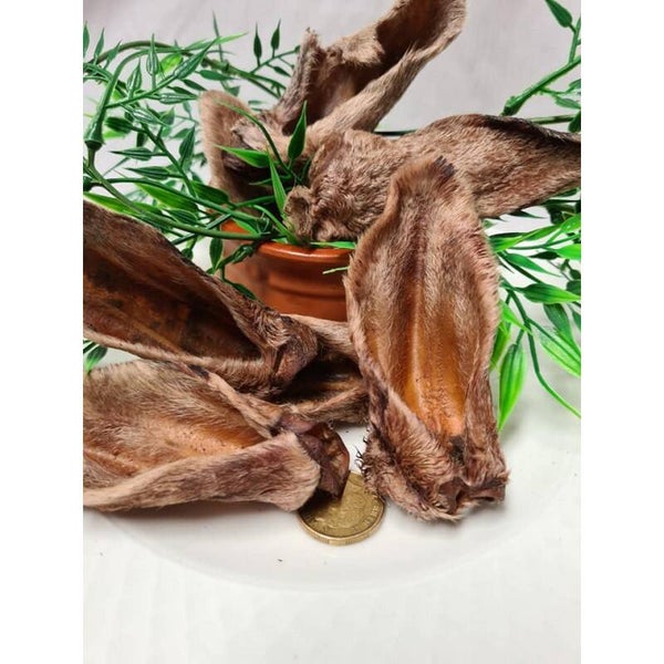 Woolly Lamb Ears (hair on) 1kg