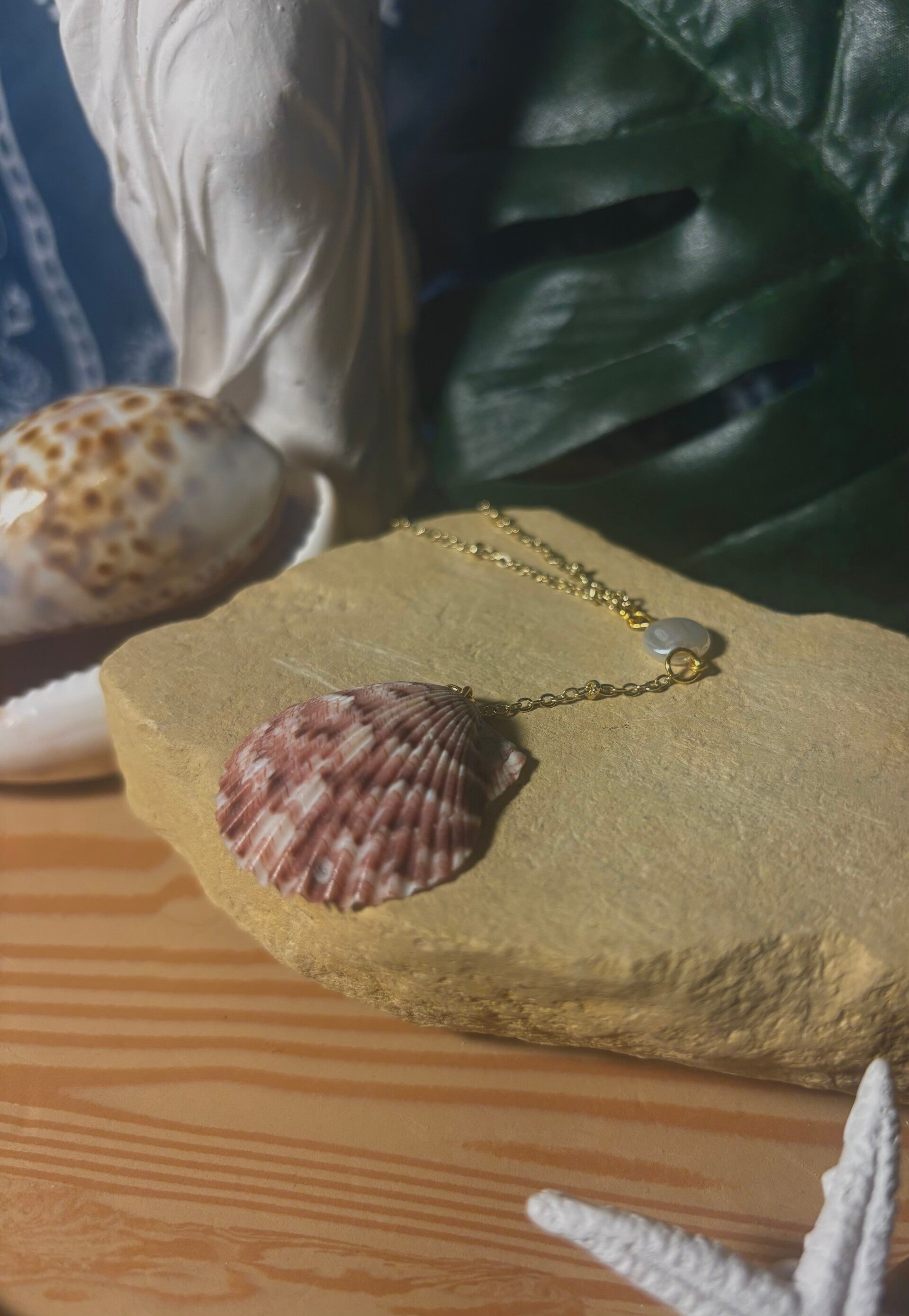 Calico Scallop w/ faux pearl