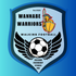 Wannabe Warriors Walking Football