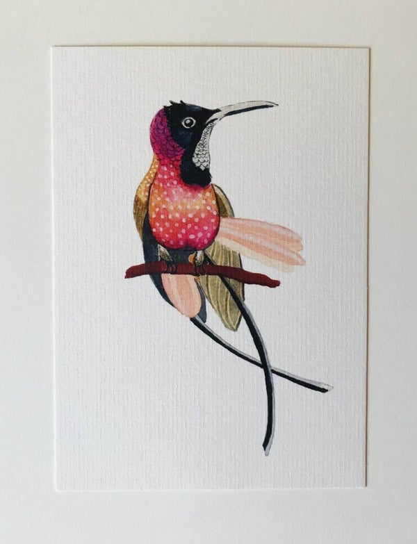 Kaart Paradijsvogel Kolibri Roze