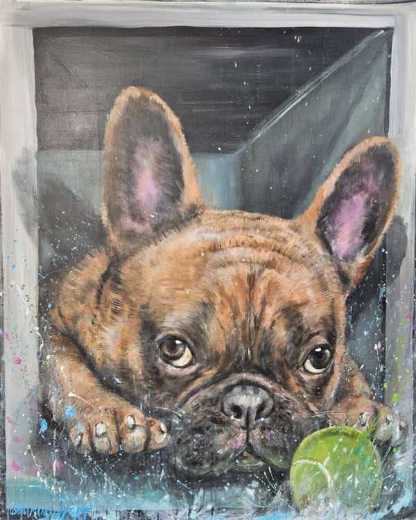 franse bulldog op paneel
