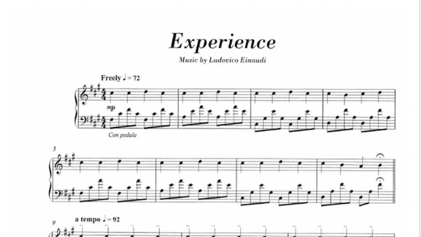 Experience