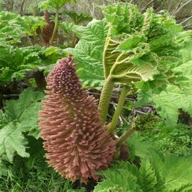 p1200081.jpg