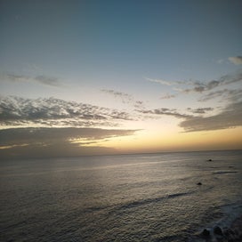 1000004193-standard.jpg