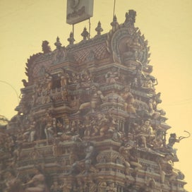 1000012636-standard.jpg