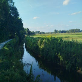 1000023406-standard.jpg