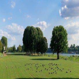 1000023641-standard.jpg